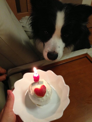 image-20130910145705.png