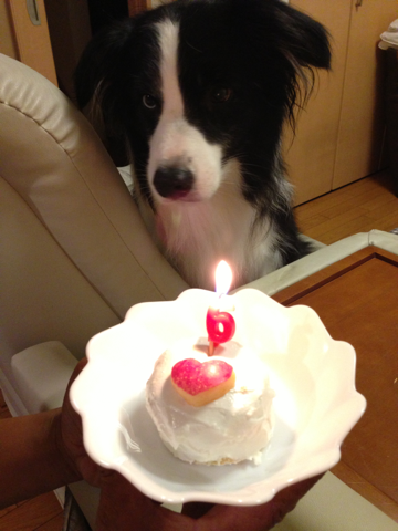 image-20130910145718.png