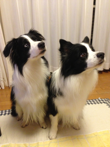 image-20130910145730.png