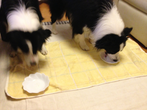 image-20130910145747.png