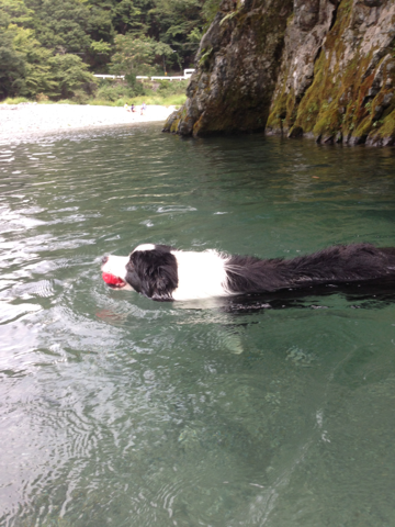 image-20130910150040.png