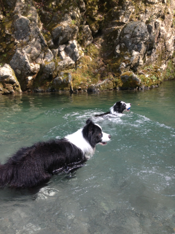 image-20130910150104.png