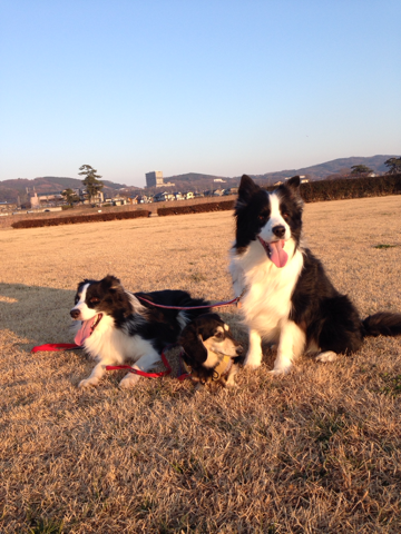 image-20140102224424.png