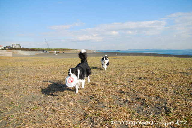 B_DSC_82770.JPG