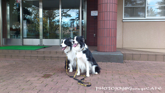 B_DSC_X0286.JPG