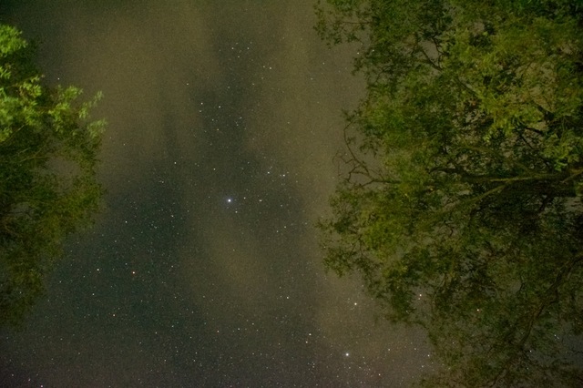 DSC_7721.jpg