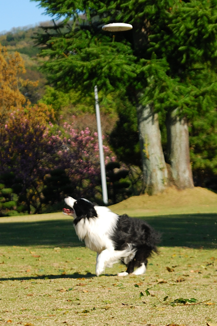 DSC_91414.JPG