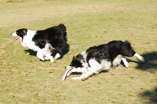 DSC_91427.JPG