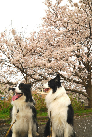 image-20130328172125.png