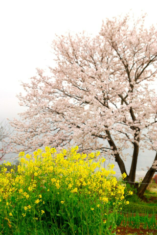 image-20130328172141.png