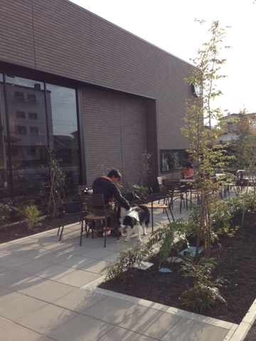 image-20130415173442.png