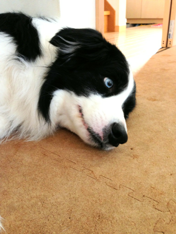 image-20130426111349.png