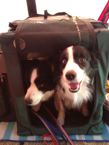 image-20130530202559.png