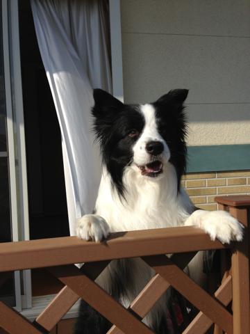 image-20130530203206.png