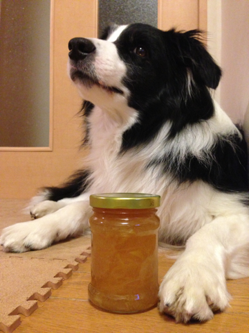 image-20130530203323.png