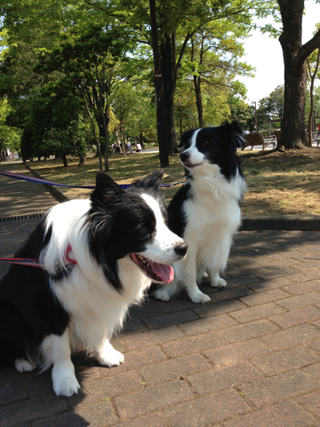 image-20130530203408.png