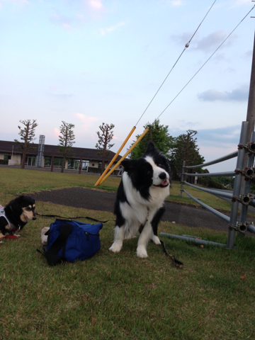 image-20130530203448.png