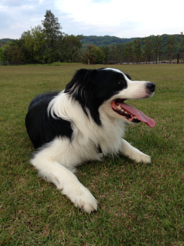 image-20130530203500.png