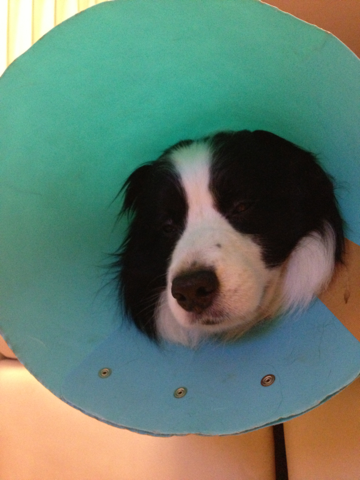 image-20130530212144.png