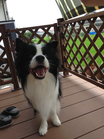 image-20130909200157.png