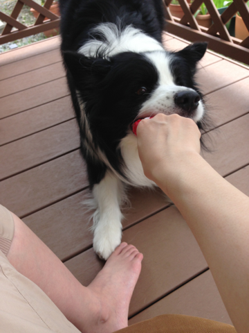 image-20130909200241.png