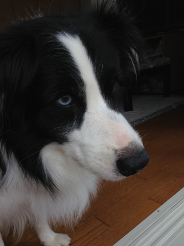 image-20130909200316.png