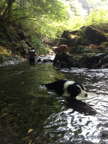 image-20130910134331.png