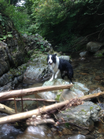 image-20130910134457.png