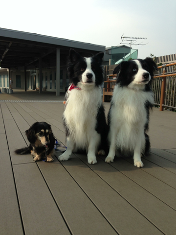 image-20130910134902.png
