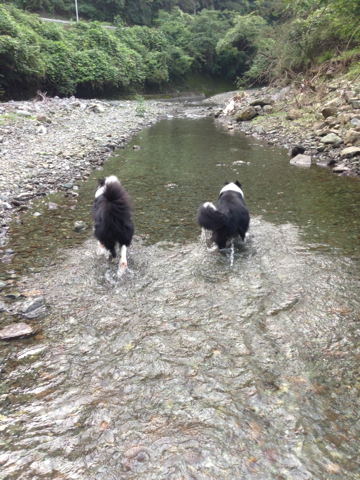 image-20130910135138.png