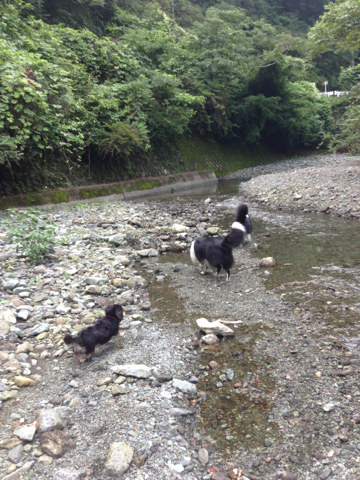 image-20130910135203.png