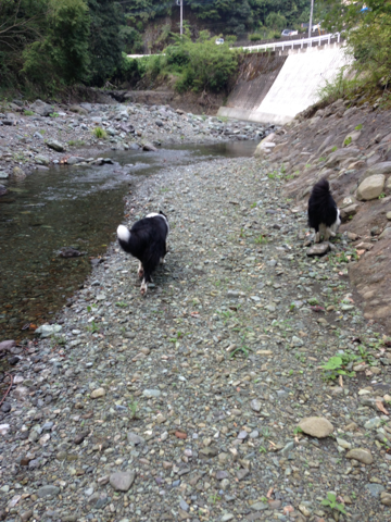 image-20130910135548.png