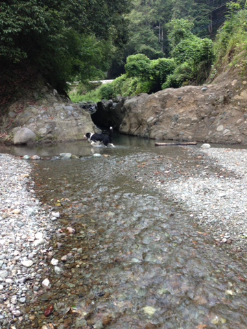 image-20130910135645.png