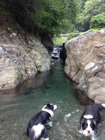 image-20130910135706.png