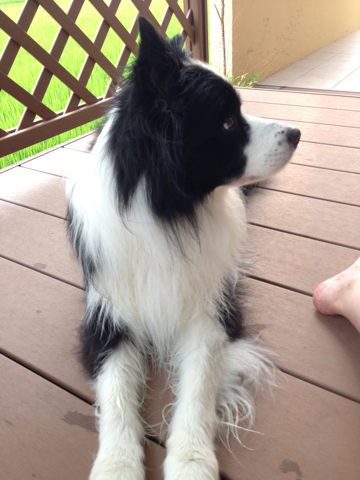image-20130910140058.png